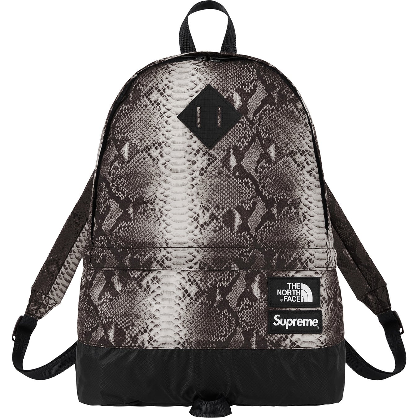 Supreme®/The North Face® Snakeskin Lightweight Day Pack view 4
